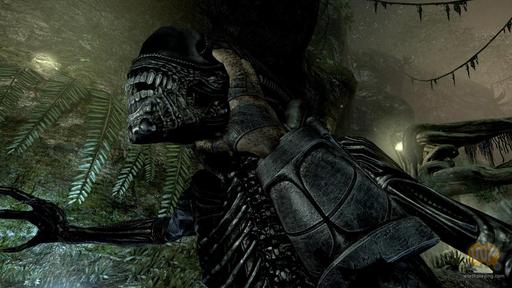 Aliens vs. Predator (2010) - Новые скриншоты Alien vs. Predator